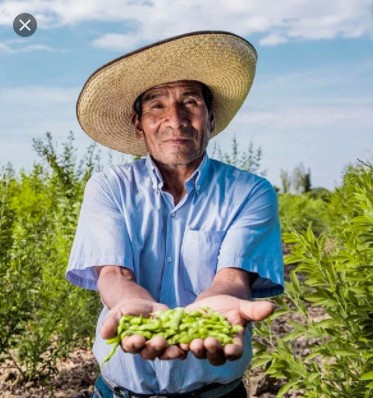 118217368_1281436198915218_7906104121791554365_n