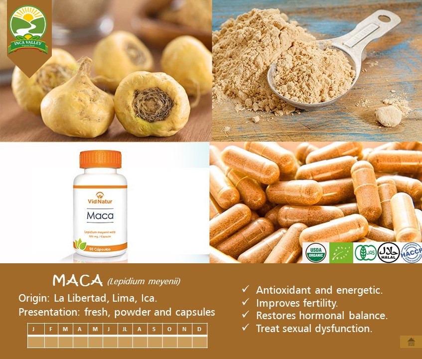 Maca