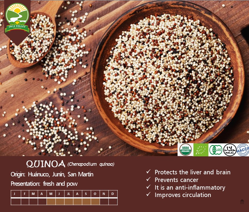 quinua