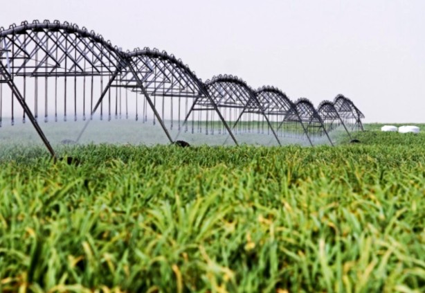 118691823_654195991896477_1737024059103065228_n